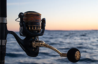 Daiwa BG SW Spinning Reel - 2023 Model