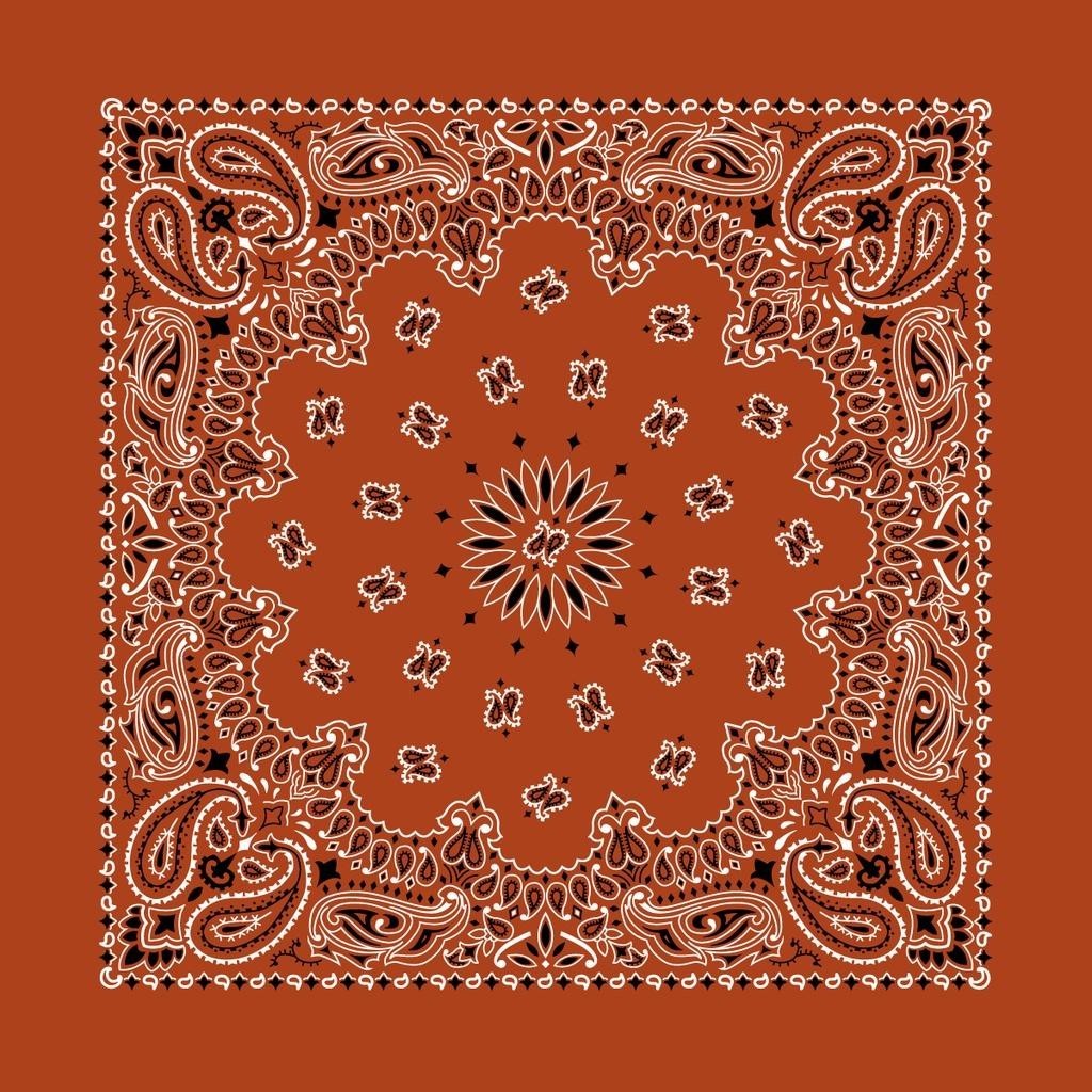 The Bandana Co USA-Made Bandanas 56x56cm 100% Cotton - Traditional Paisley 22x22 inches