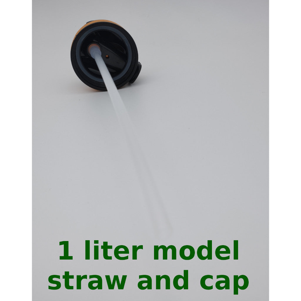 SG Cheapest 1L & 2L Water Bottle with Straw - School, Sports, Daily Use - BPA Free Waterbottle