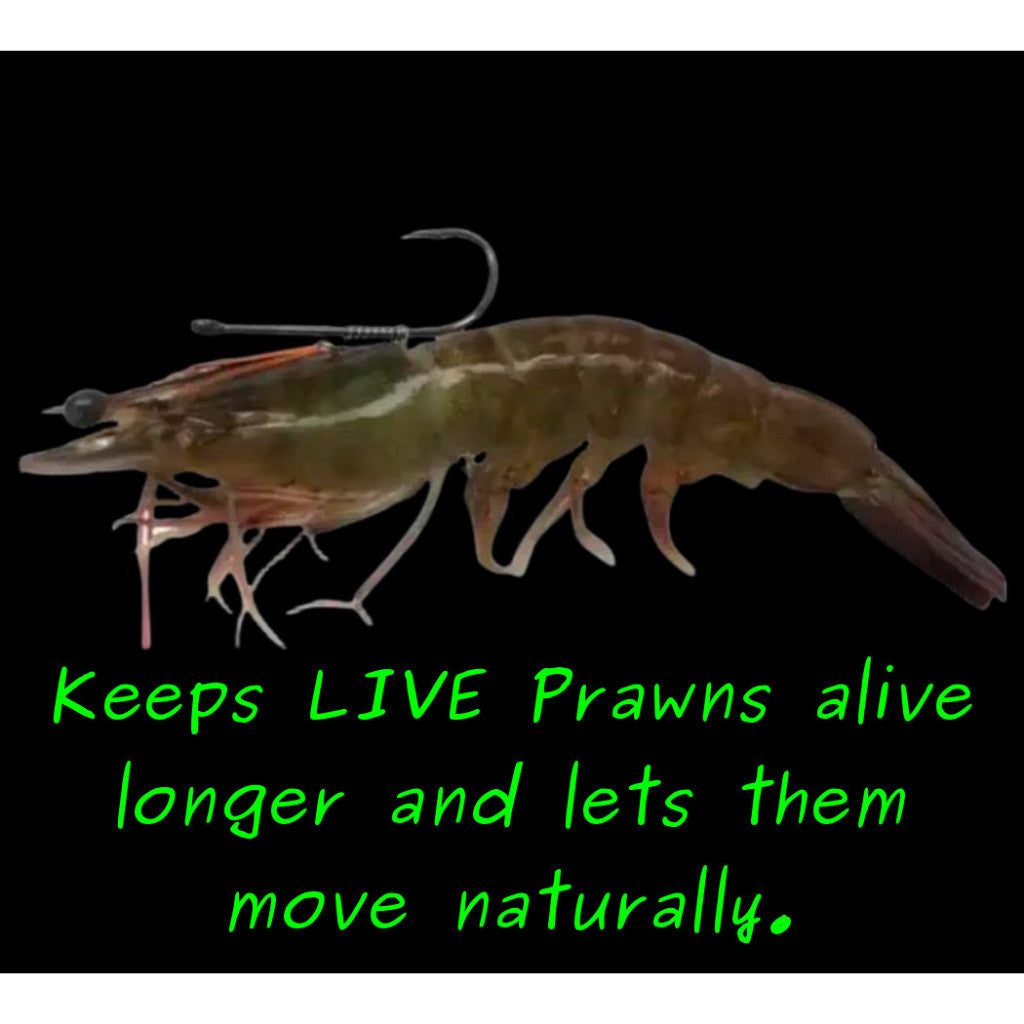 Salt Studio Live Prawn Runner Circle Hook Size 1/0 to 4/0 (Pack of 2)