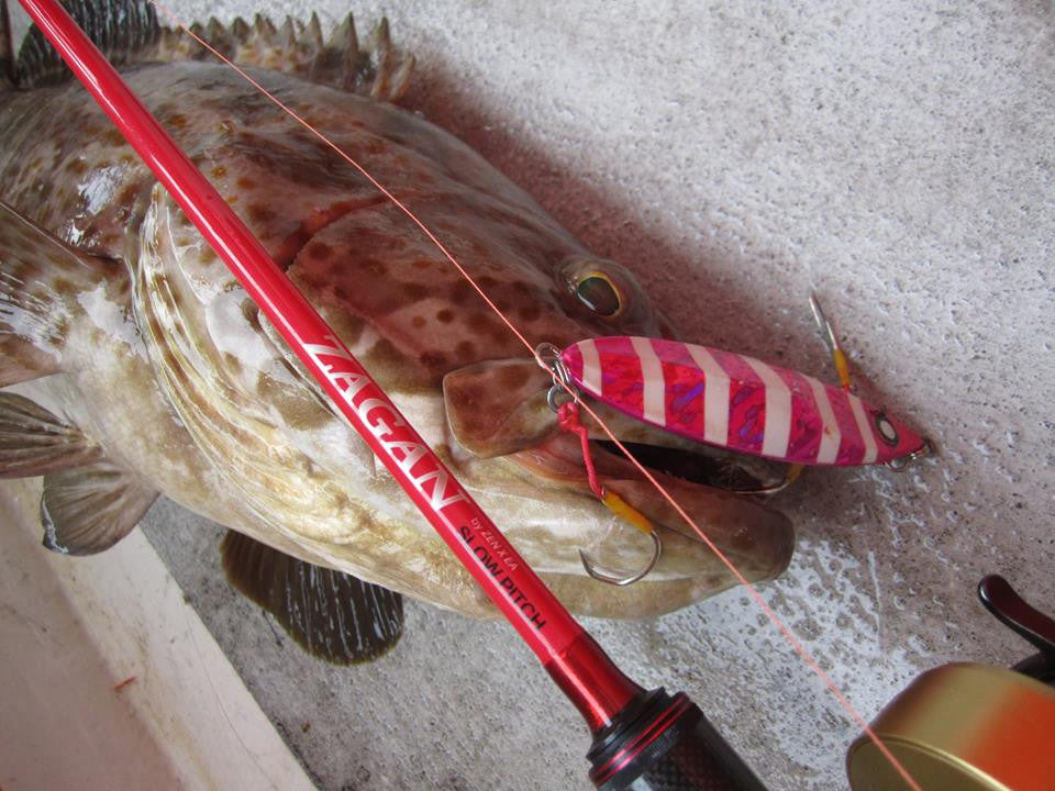 Rod Ford Metal Slug Slow Fall Jig - Nalno.com Outdoor Equipment - 2