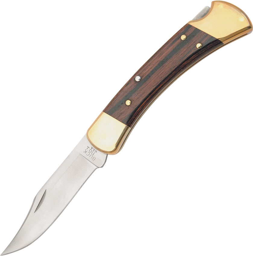 Buck Folding Hunter 110