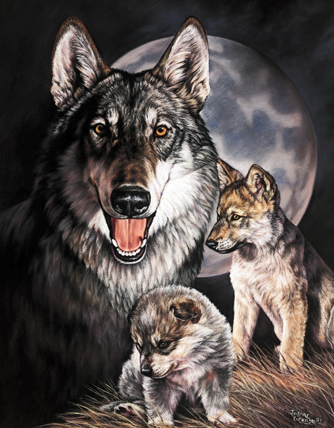Graham Wolf Experience Tin Sign