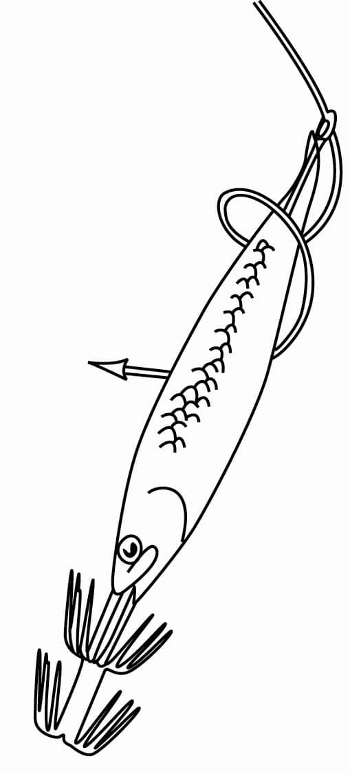 Angler's Pal Squid Needle Shaft
