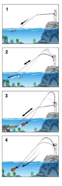 Daiwa Aoritrial 2500BR Spinning Reel
