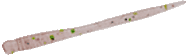 Bait Breath Needle Real Fry 2" Rubber Lure