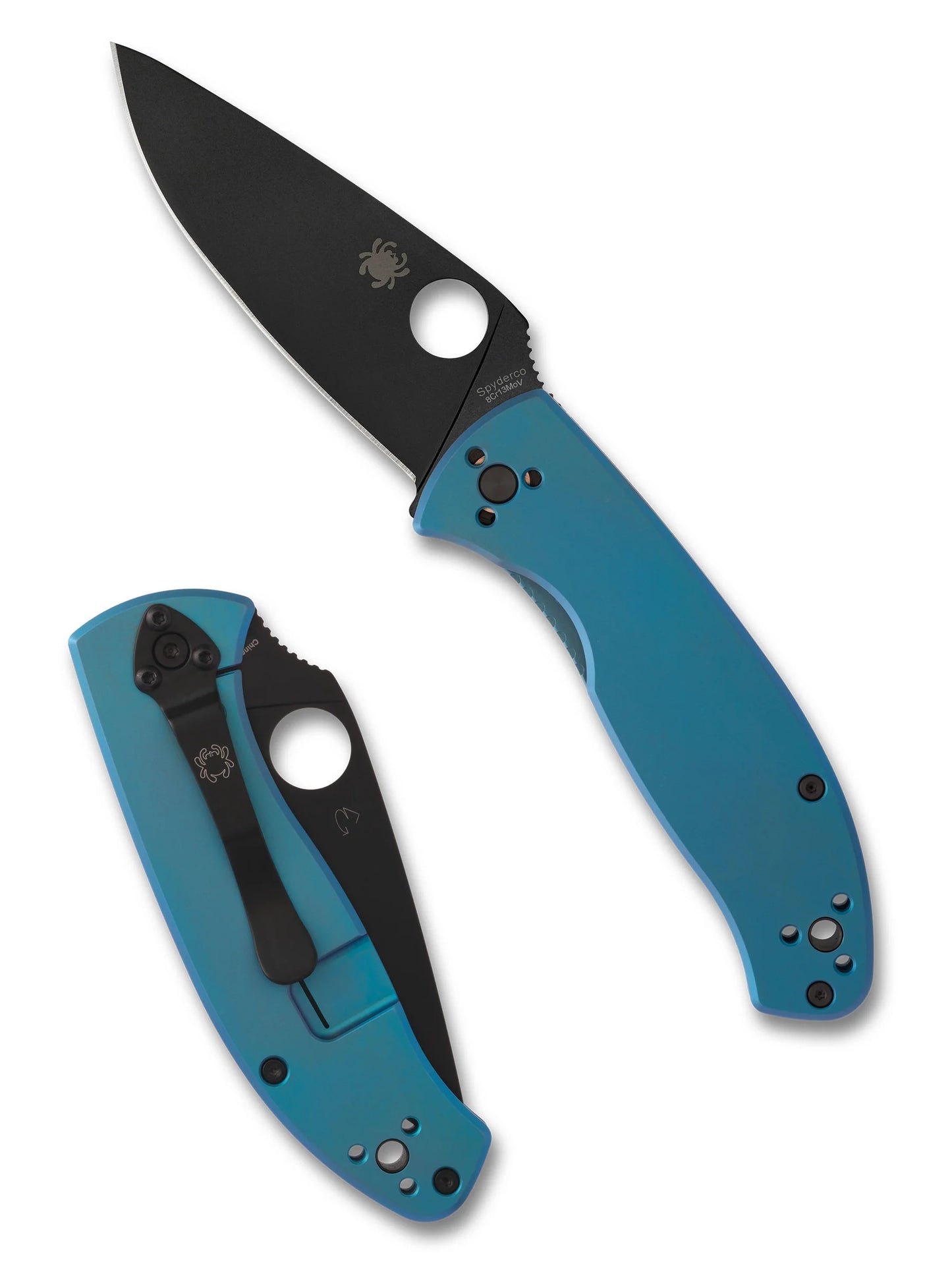 Spyderco Tenacious Blue TI C122TIBLP