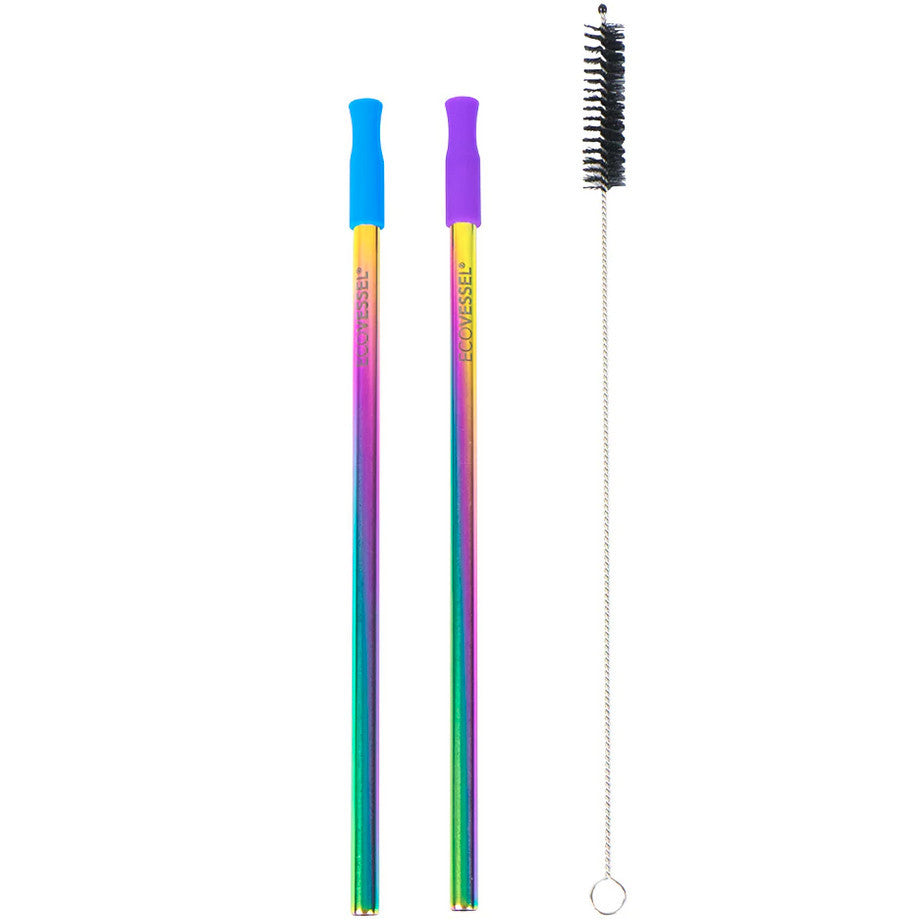Ecovessel Stainless Steel Set of 2 Reusable Metal Straws w/ Silicone Tips & Cleaning Brush