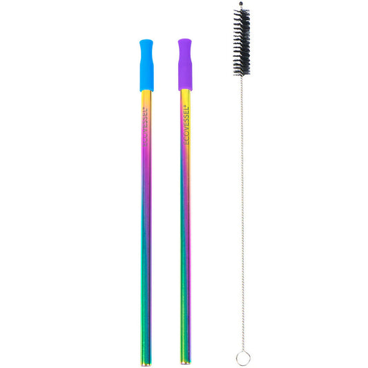 Ecovessel Stainless Steel Set of 2 Reusable Metal Straws w/ Silicone Tips & Cleaning Brush