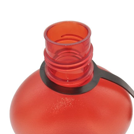 Nalgene 1l Oasis Canteen Water Bottle Sustain