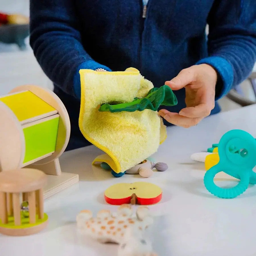 E-Cloth Baby Toy & Nursery Cleaning Cloth 32cm x 32cm