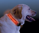 Nite Ize Nite Dawg Light Up Dog Collar - Nalno.com Outdoor Equipment - 2