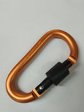 Carabiner with Screw Lock Gate