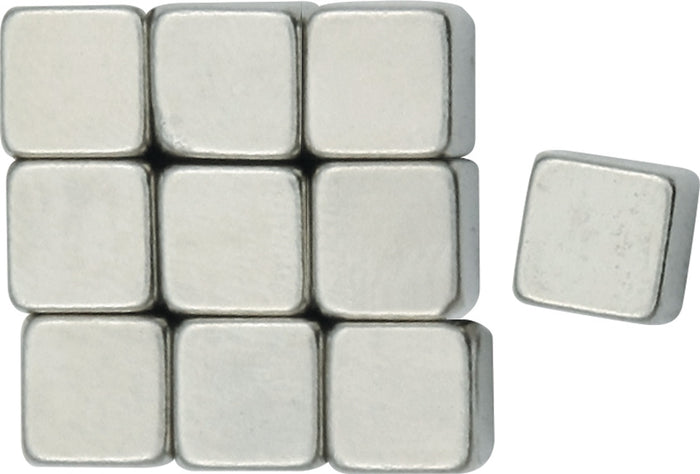 Magnet Bricks (Set of 10)