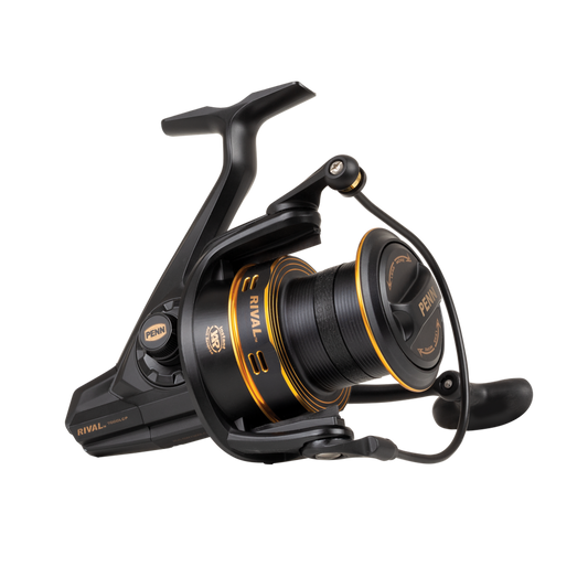 Penn Rival 6000 Longcast Gold Spinning Reel