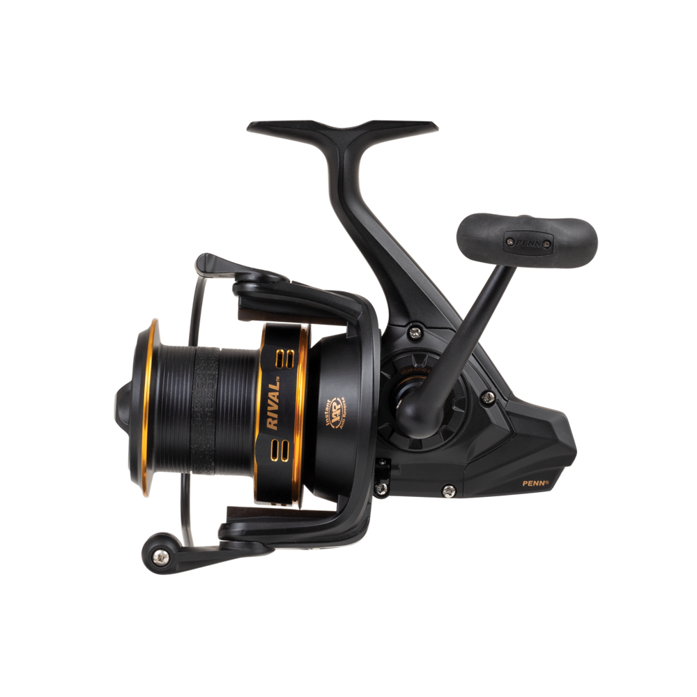 Penn Rival 6000 Longcast Gold Spinning Reel