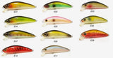 Salt Studio S-Minnow 70F Lure